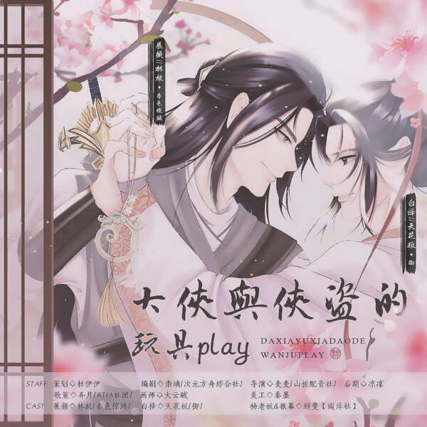 大侠和侠盗的玩具play