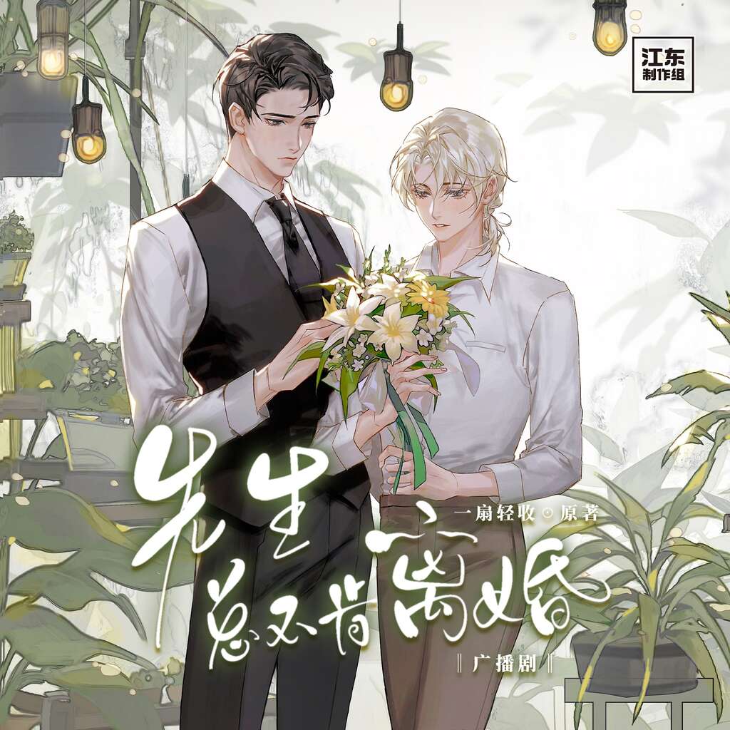 先生总不肯离婚（小忻×孟阳）