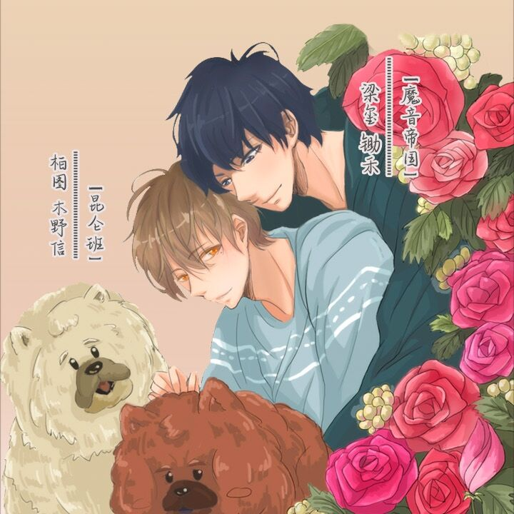 给柏拉图献花