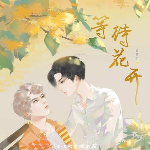 等待花开