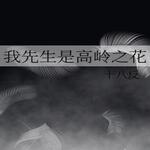 我先生是高岭之花