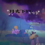 月光下的灰浣熊