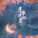 月华流照君