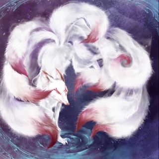 不负如来不负卿