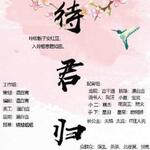 待君归