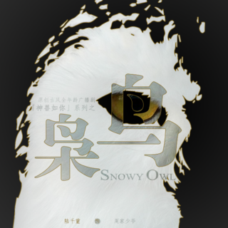 神兽如你系列之《枭鸟》