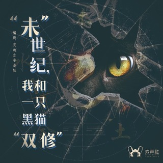 “未”世纪，我和一只黑猫“双修”