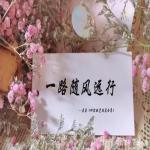 一路随风远行