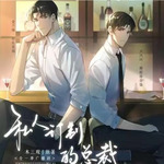 私人订制的总裁