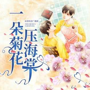 一朵菊花压海棠