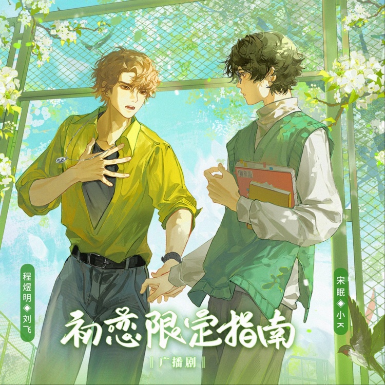 初恋限定指南