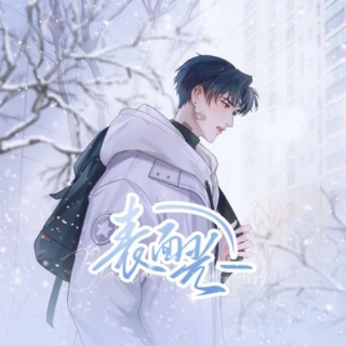 表面光-第一季
