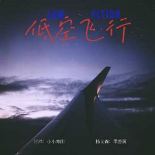 低空飞行