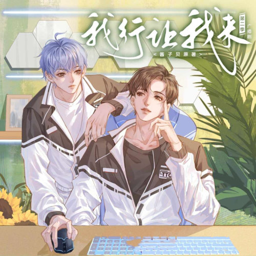 我行让我来-第二季