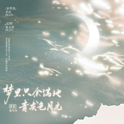 梦里只余满地青灰色月光