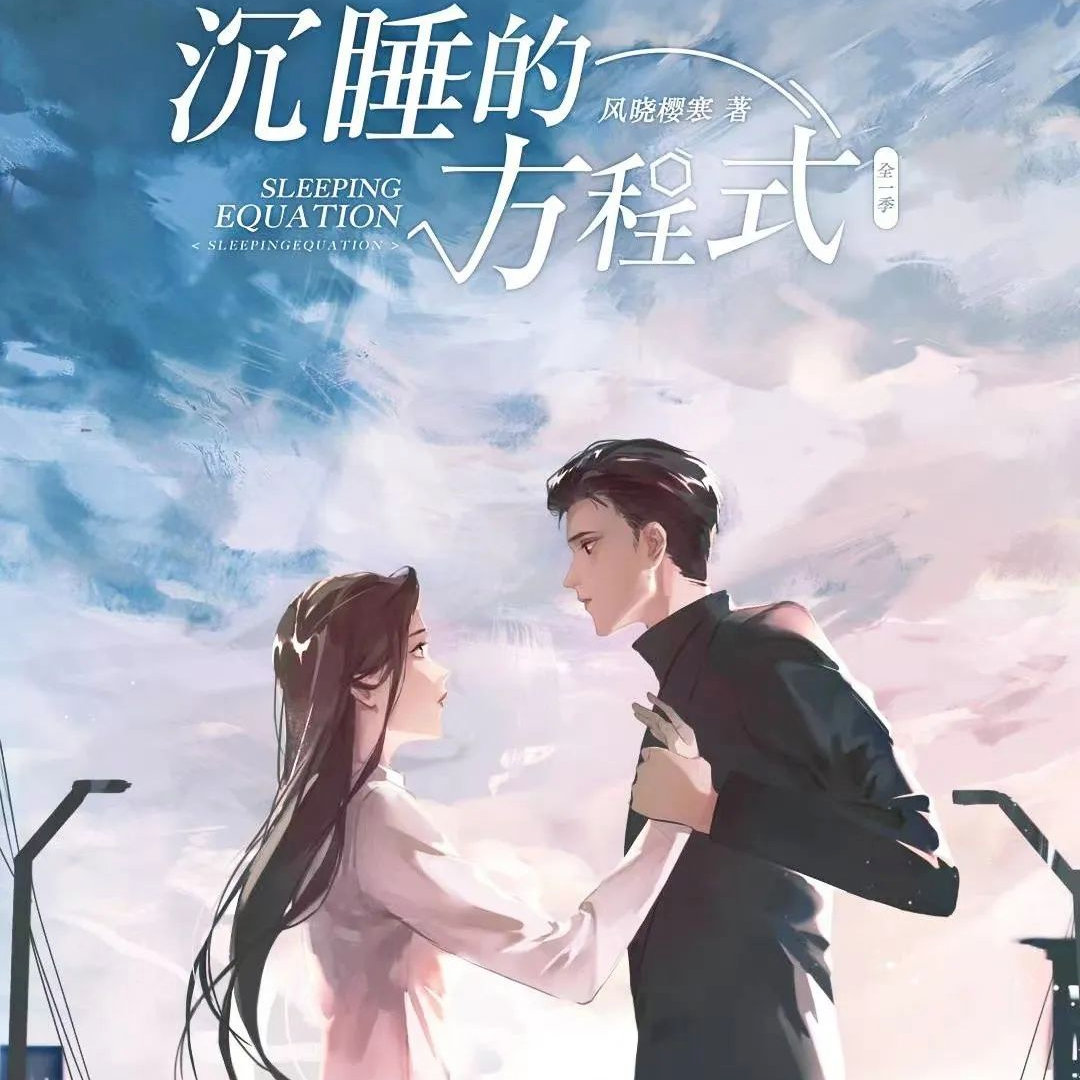 沉睡的方程式