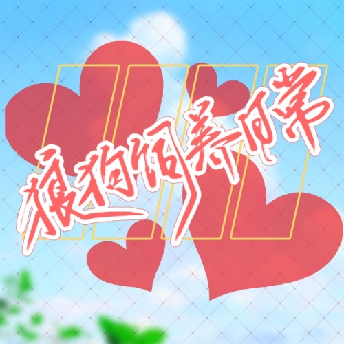 狼狗饲养日常