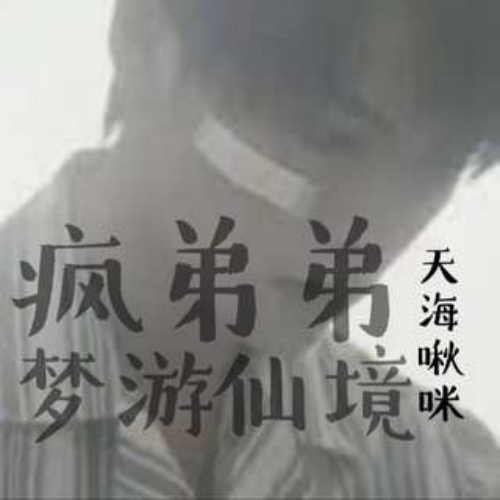 疯弟弟梦游仙境