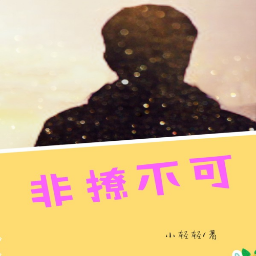 非撩不可