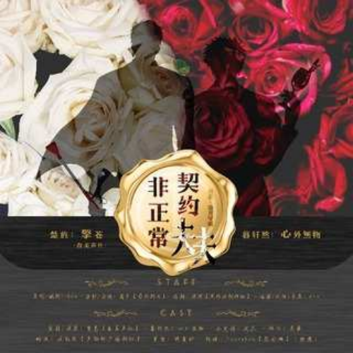 非正常契约夫夫