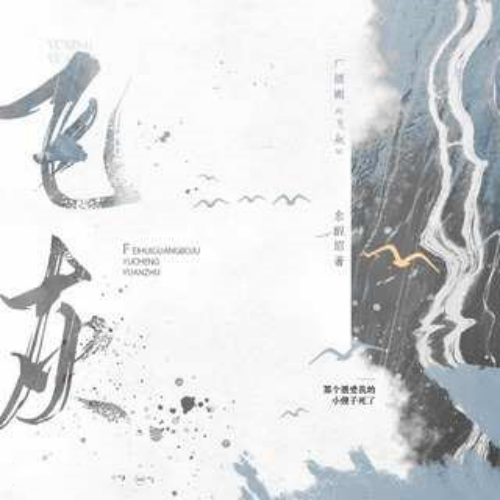 飞灰