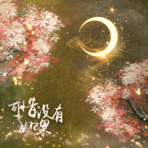 （三）可惜没有如果