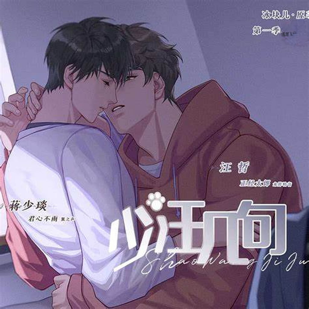 少汪几句-第一季