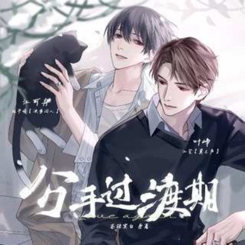 分手过渡期