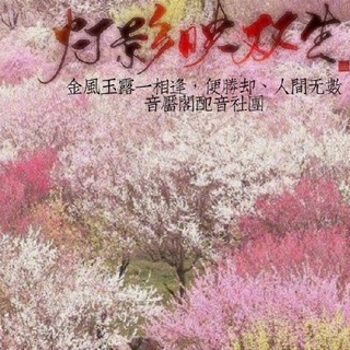 灯影映双生