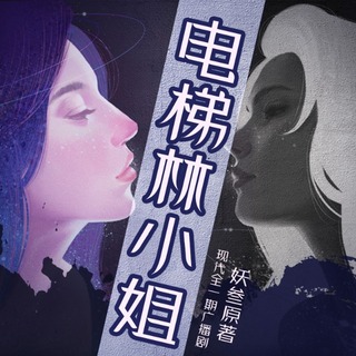 电梯林小姐