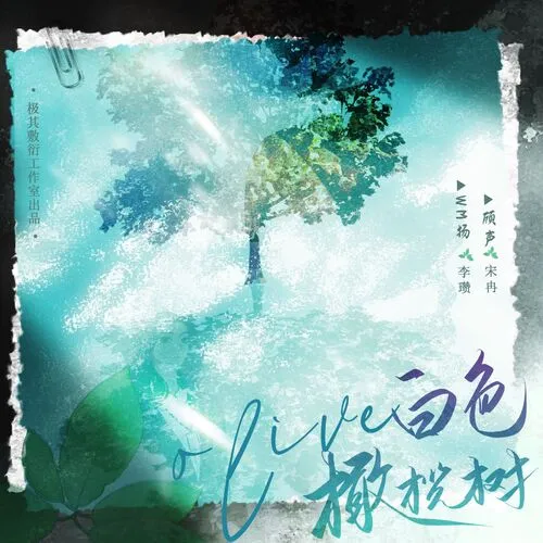 白色橄榄树
